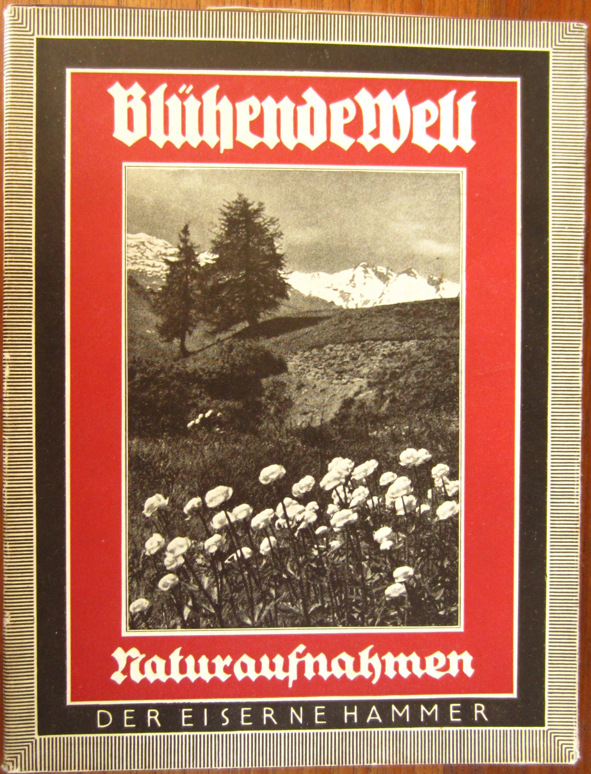 Blühende Welt