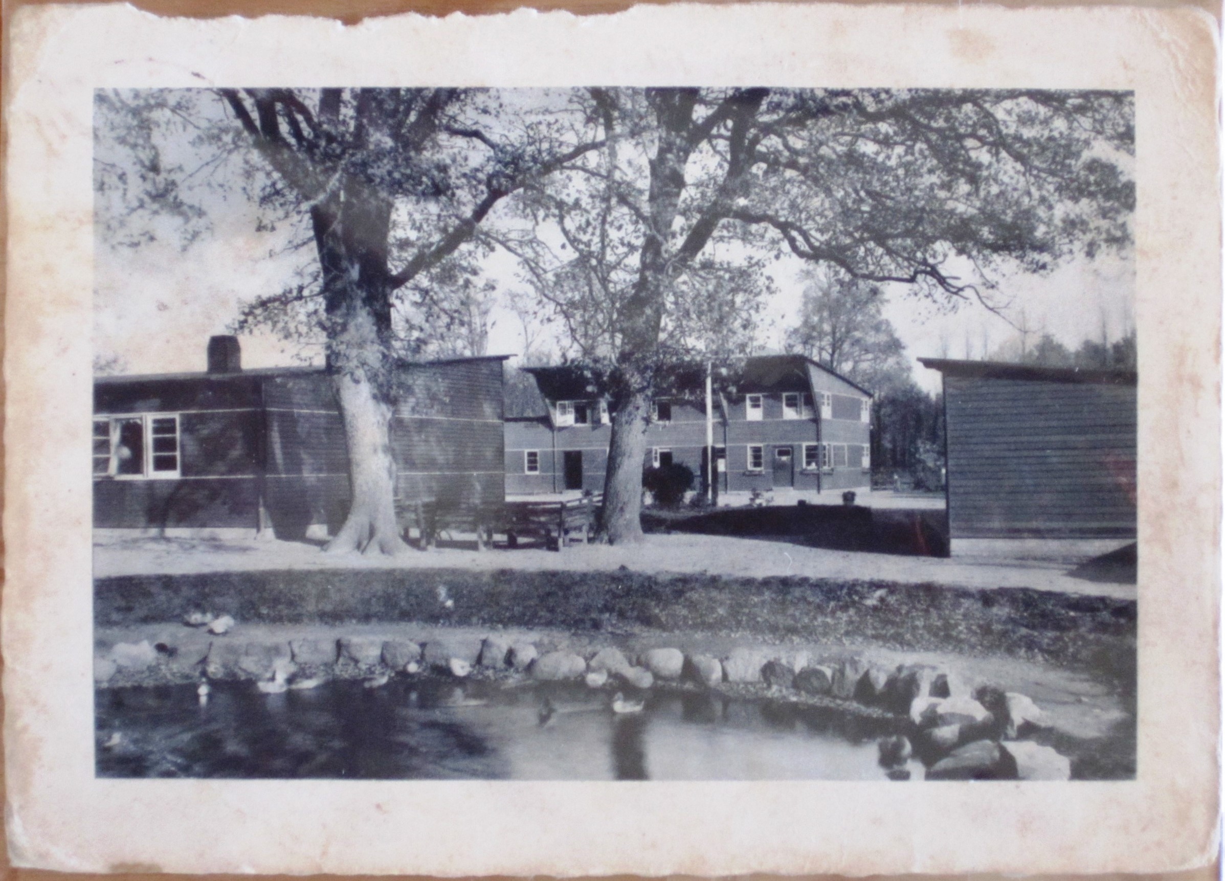 Postcard : Reichsarbeitsdienst - Abteilung 1/194 - "Daniel von Büren" - picture of the camp
