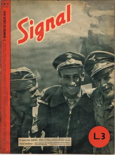 D/I Nr. 13